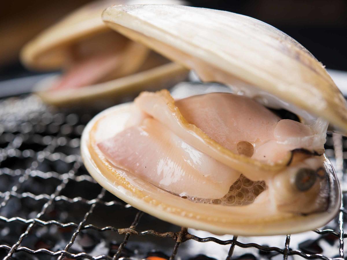 Spa&Resort Kujukuri Taiyou-No-Sato Csoszei Szoba fotó